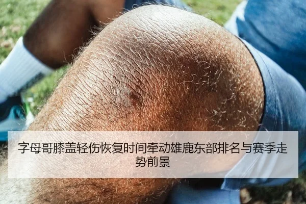 字母哥膝盖轻伤恢复时间牵动雄鹿东部排名与赛季走势前景