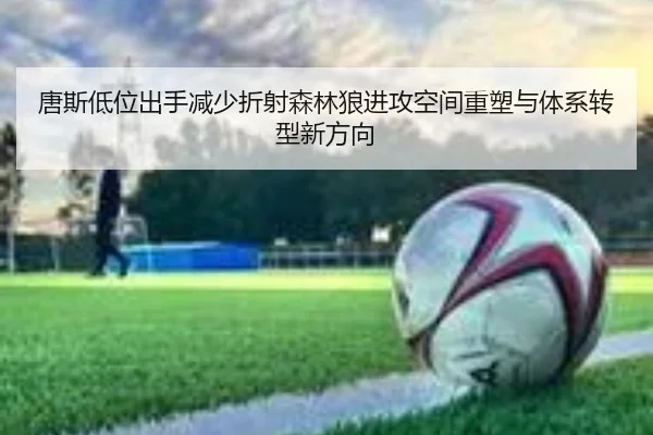 唐斯低位出手减少折射森林狼进攻空间重塑与体系转型新方向