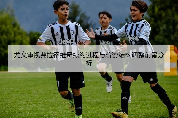 尤文审视弗拉霍维奇续约进程与薪资结构调整前景分析